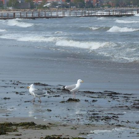 Rieger Fw 3 Lejlighed Eckernförde Eksteriør billede